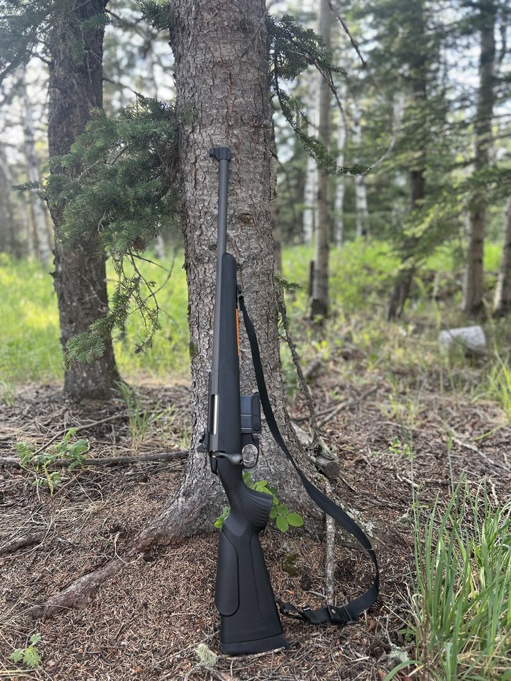Tikka t3x _308 Winchester